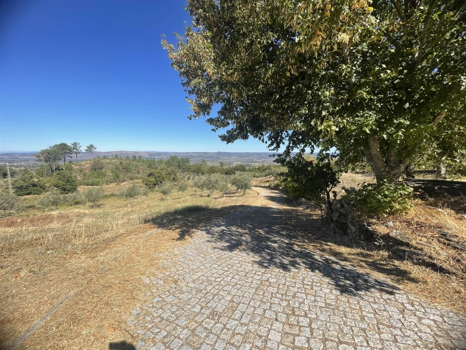 Quinta T3 para Venda em Melo e Nabais Foto 5