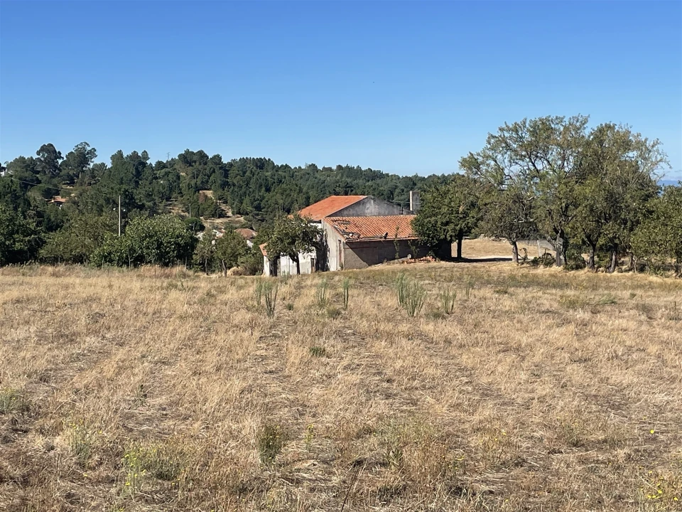 Quinta T3 para Venda em Melo e Nabais Foto 11