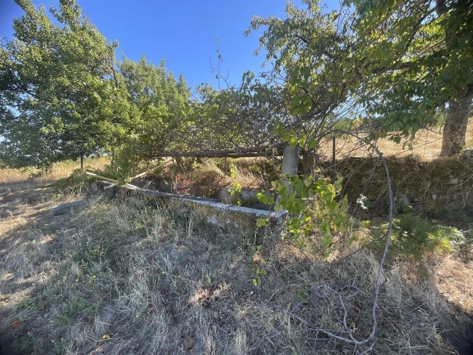 Quinta T3 para Venda em Melo e Nabais Foto 12