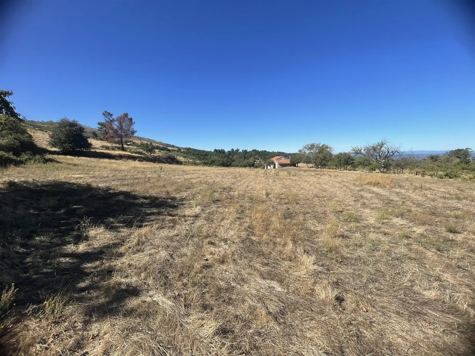 Quinta T3 para Venda em Melo e Nabais Foto 10