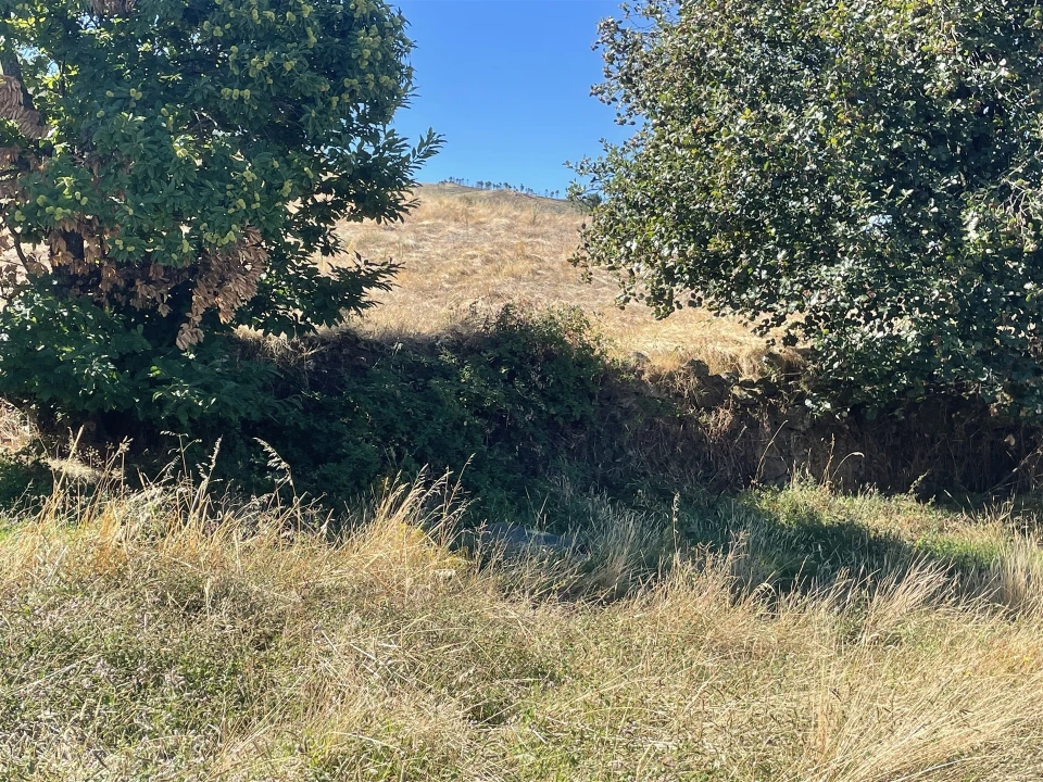 Quinta T3 para Venda em Melo e Nabais Foto 14