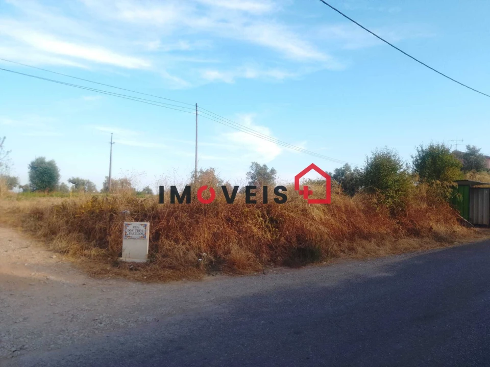 Terreno para Venda em Achete, Azoia de Baixo e Póvoa de Santarém Foto 3