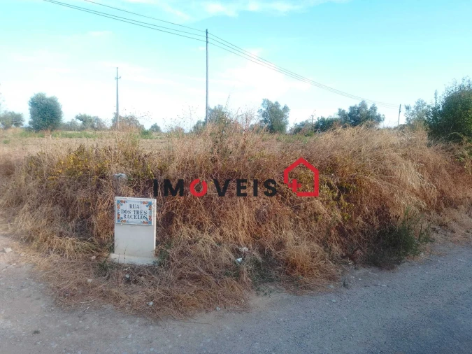 Terreno para Venda em Achete, Azoia de Baixo e Póvoa de Santarém Foto 4