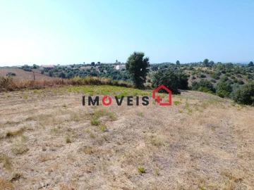Terreno para Venda em Romeira e Várzea