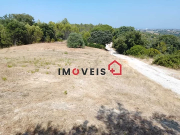 Terreno para Venda em Romeira e Várzea