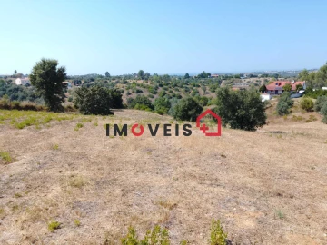 Terreno para Venda em Romeira e Várzea