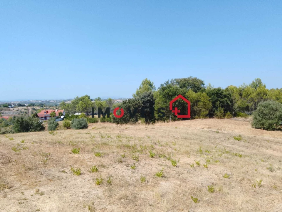 Terreno para Venda em Romeira e Várzea Foto 5