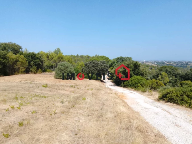 Terreno para Venda em Romeira e Várzea Foto 7