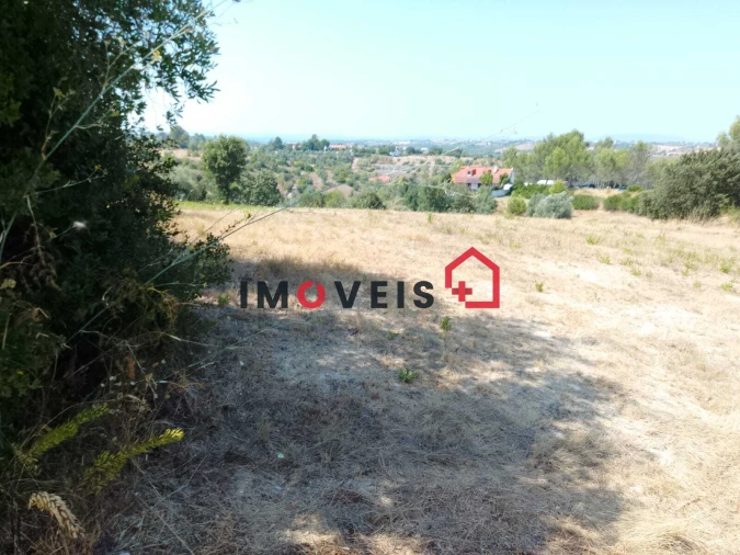 Terreno para Venda em Romeira e Várzea Foto 3