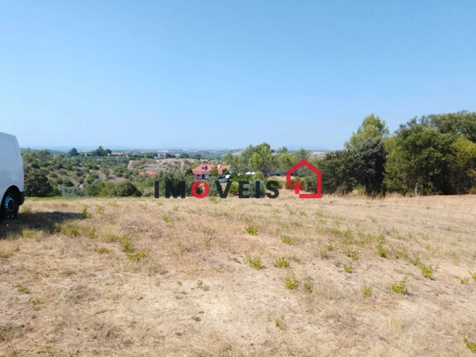 Terreno para Venda em Romeira e Várzea Foto 4