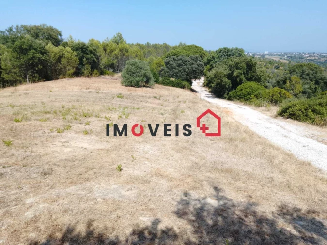 Terreno para Venda em Romeira e Várzea Foto 2