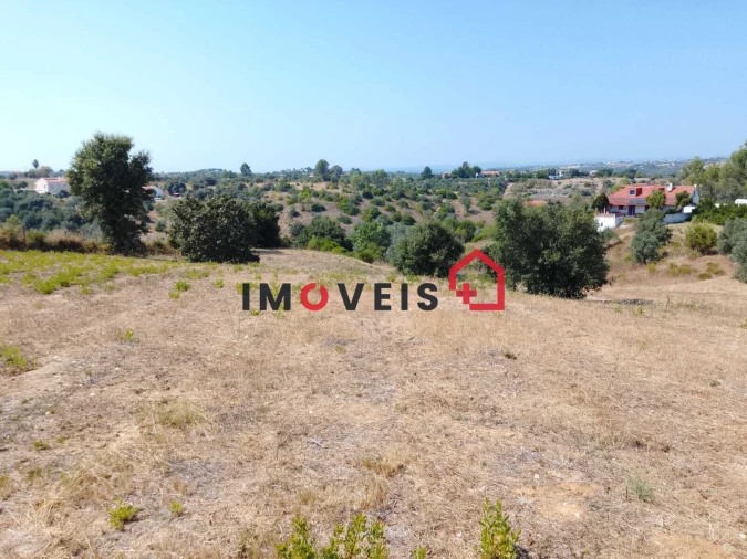 Terreno para Venda em Romeira e Várzea Foto 9