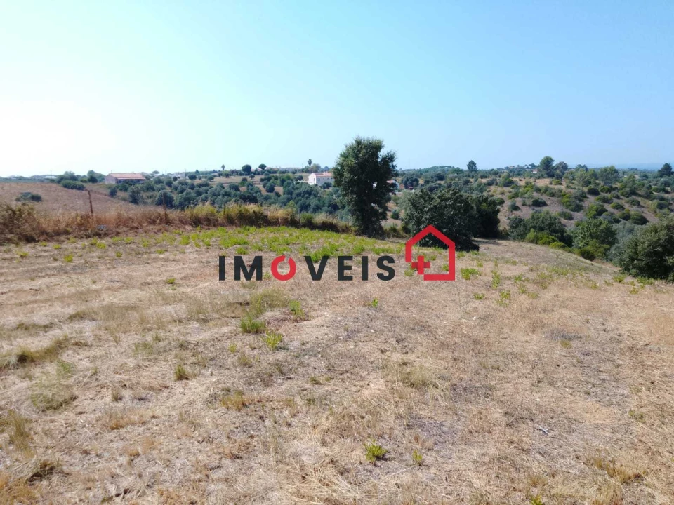 Terreno para Venda em Romeira e Várzea Foto 8