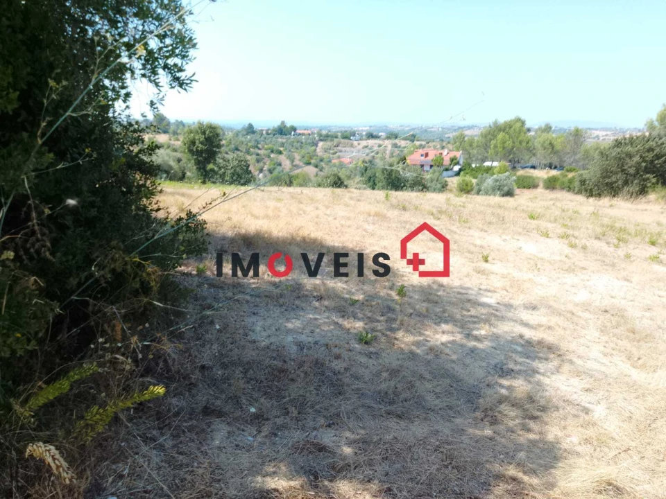 Terreno para Venda em Romeira e Várzea Foto 3