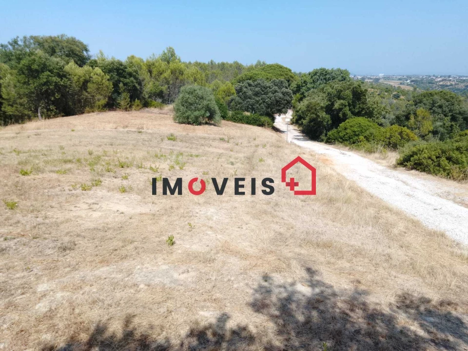 Terreno para Venda em Romeira e Várzea Foto 2