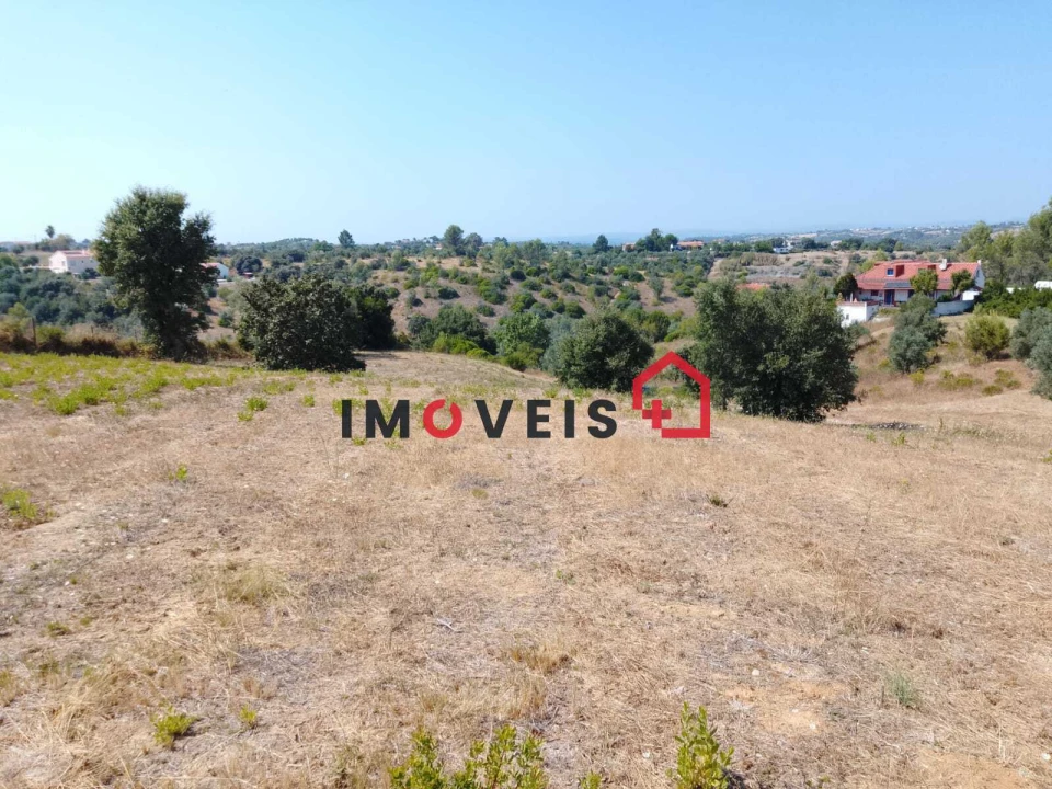 Terreno para Venda em Romeira e Várzea Foto 9