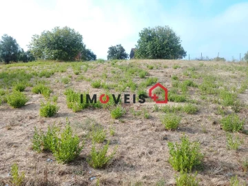 Terreno para Venda em Achete, Azoia de Baixo e Póvoa de Santarém