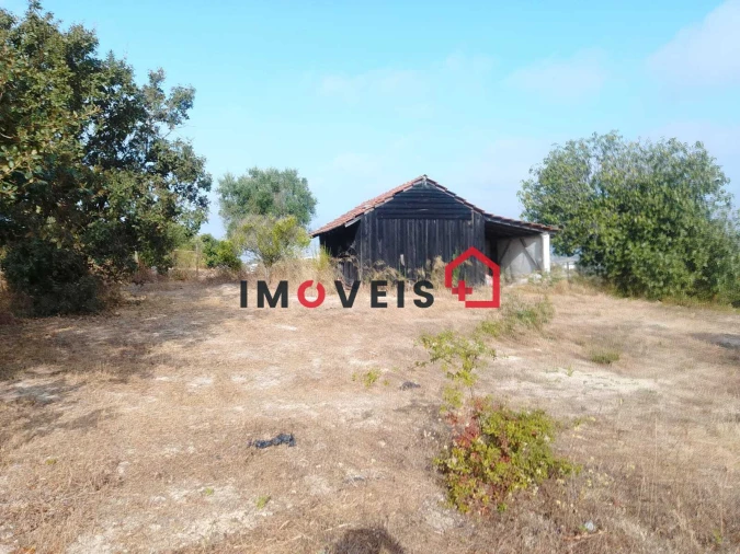 Terreno para Venda em Achete, Azoia de Baixo e Póvoa de Santarém Foto 9