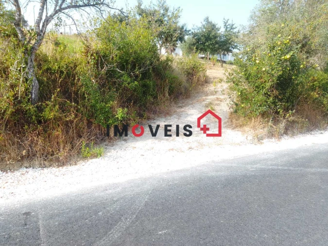 Terreno para Venda em Achete, Azoia de Baixo e Póvoa de Santarém Foto 13