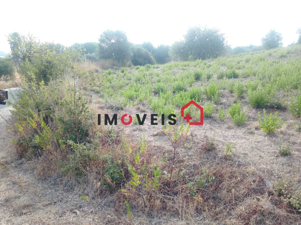 Terreno para Venda em Achete, Azoia de Baixo e Póvoa de Santarém Foto 8