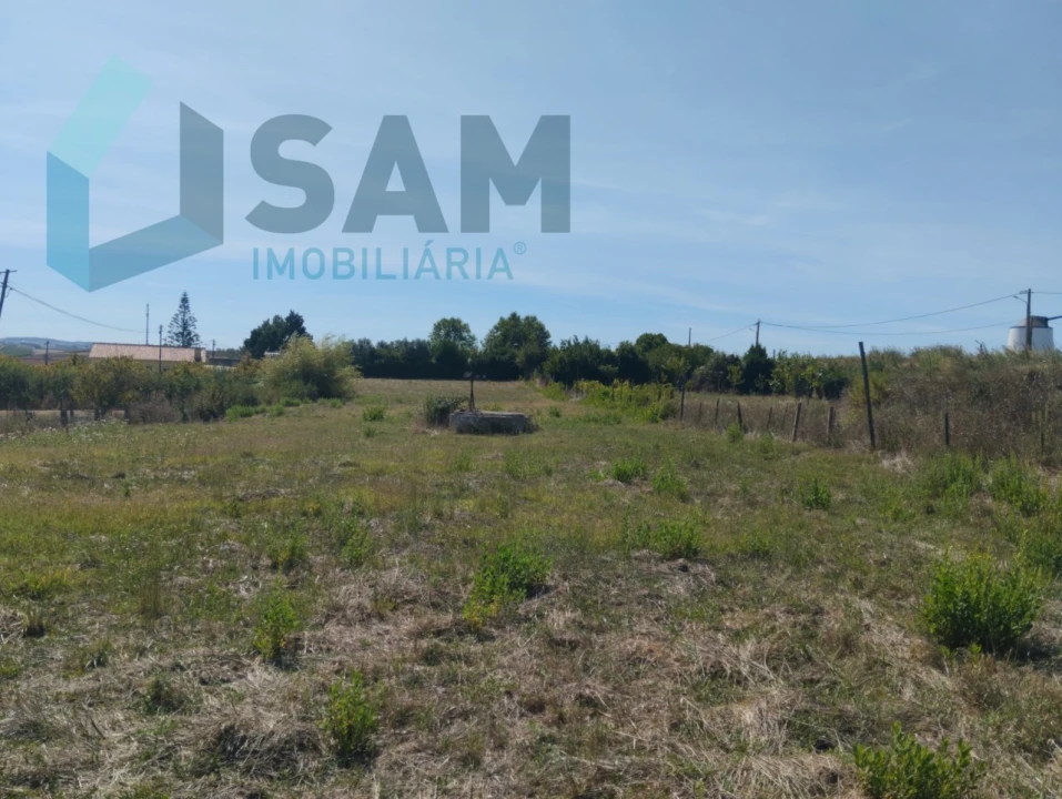Terreno para Venda em Carvoeira e Carmões Foto 8