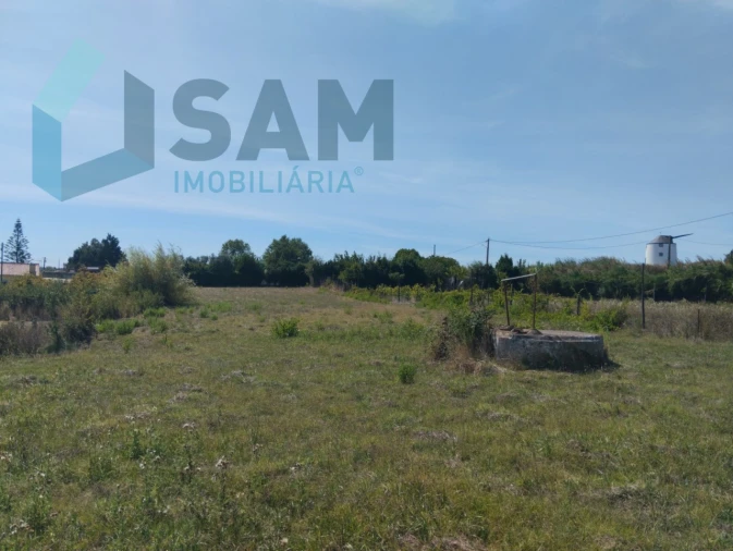 Terreno para Venda em Carvoeira e Carmões Foto 6
