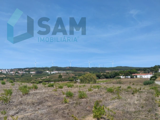 Terreno para Venda em Carvoeira e Carmões Foto 7