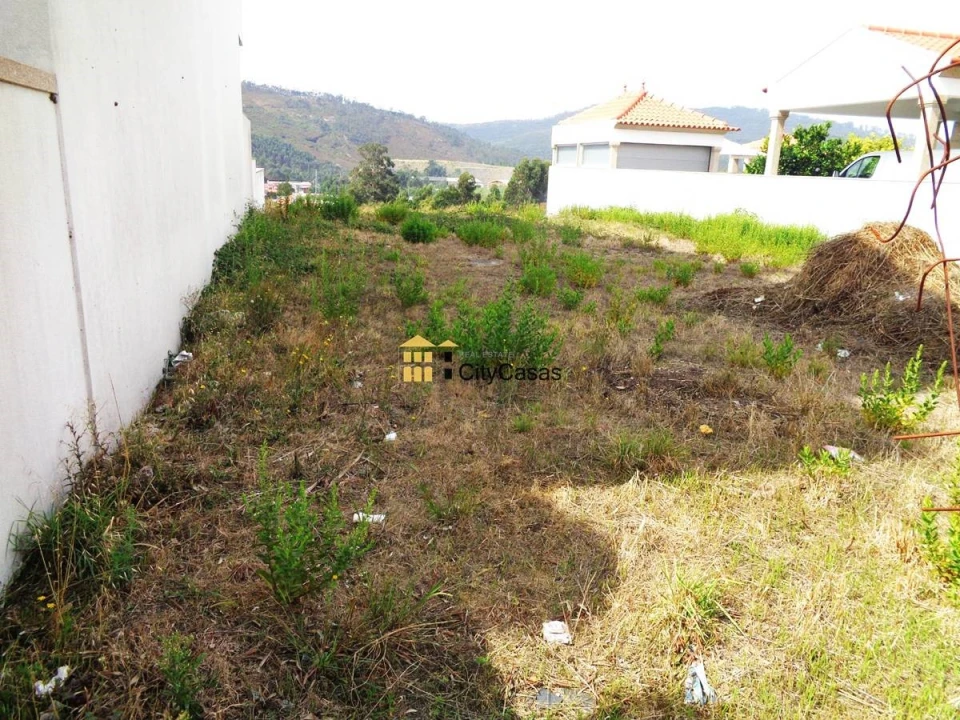 Terreno para Venda em Campo e Sobrado Foto 3