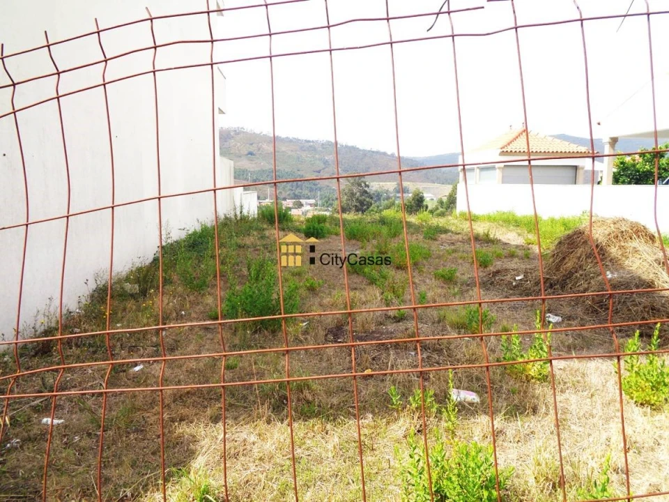 Terreno para Venda em Campo e Sobrado Foto 6