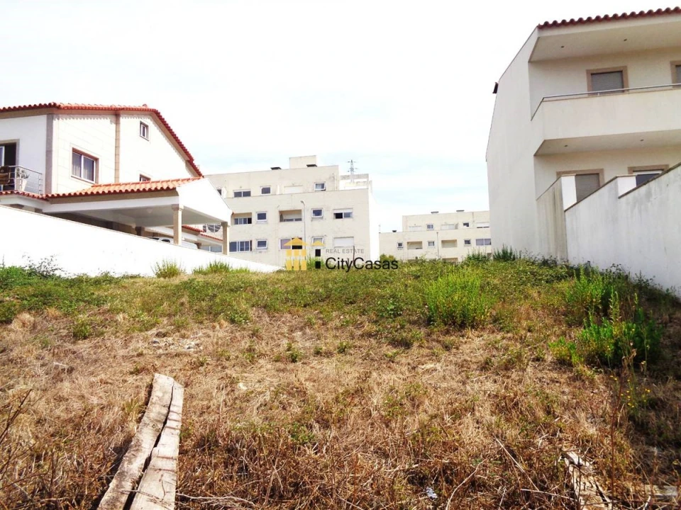 Terreno para Venda em Campo e Sobrado Foto 7