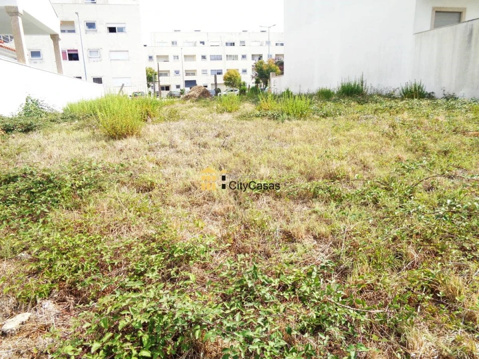 Terreno para Venda em Campo e Sobrado Foto 8