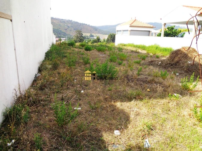 Terreno para Venda em Campo e Sobrado Foto 3