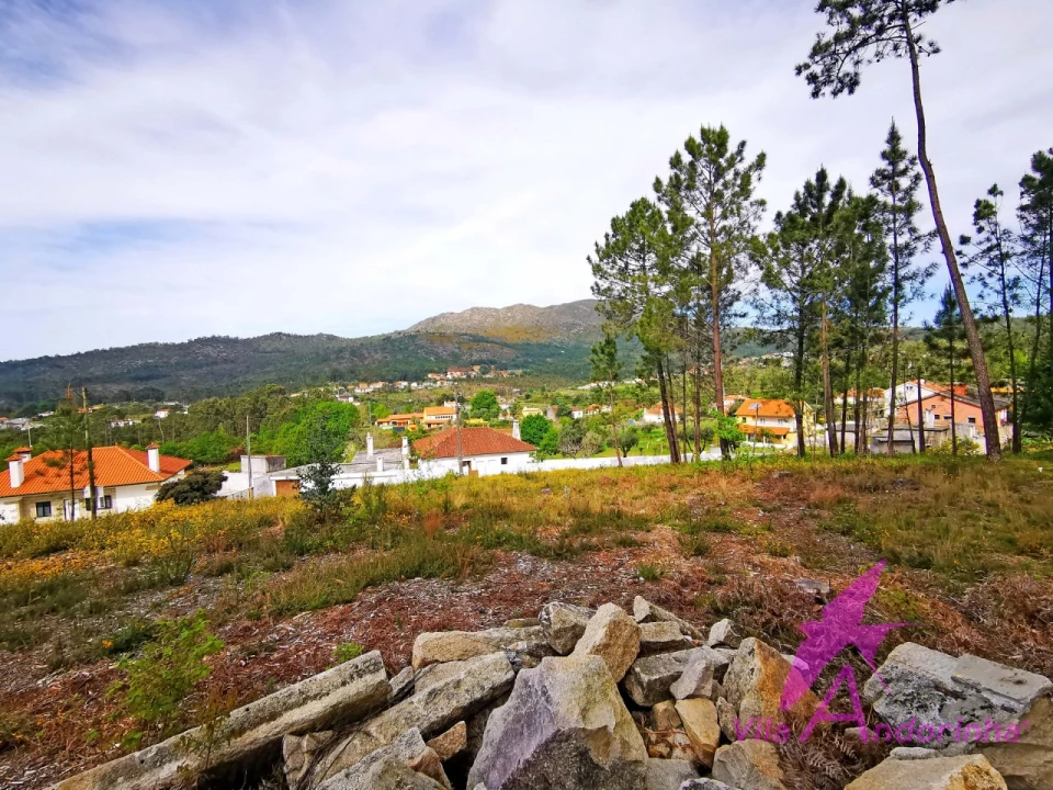 Terreno para Venda em Nogueira, Meixedo e Vilar de Murteda Foto 6
