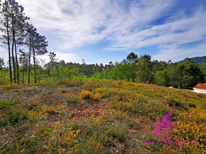 Terreno para Venda em Nogueira, Meixedo e Vilar de Murteda Foto 9