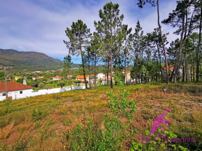 Terreno para Venda em Nogueira, Meixedo e Vilar de Murteda Foto 10
