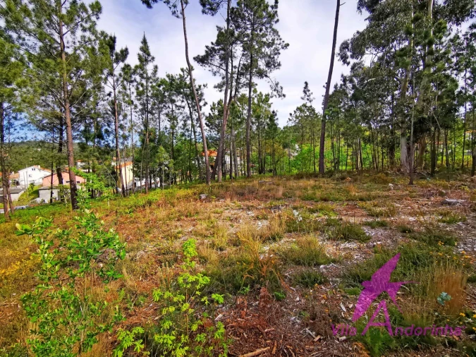 Terreno para Venda em Nogueira, Meixedo e Vilar de Murteda Foto 11