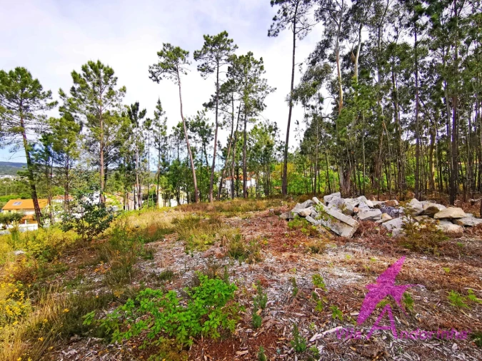 Terreno para Venda em Nogueira, Meixedo e Vilar de Murteda Foto 15