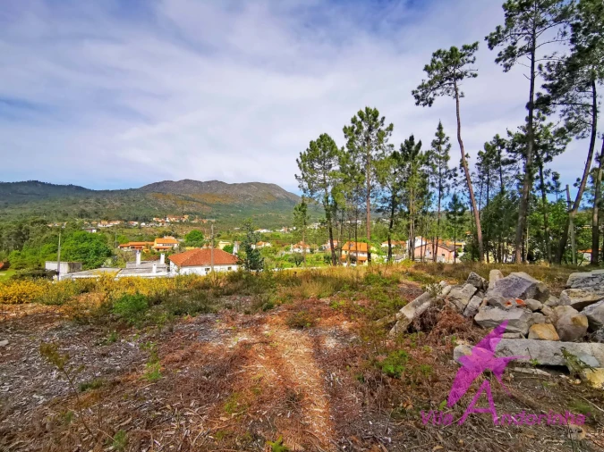 Terreno para Venda em Nogueira, Meixedo e Vilar de Murteda Foto 16