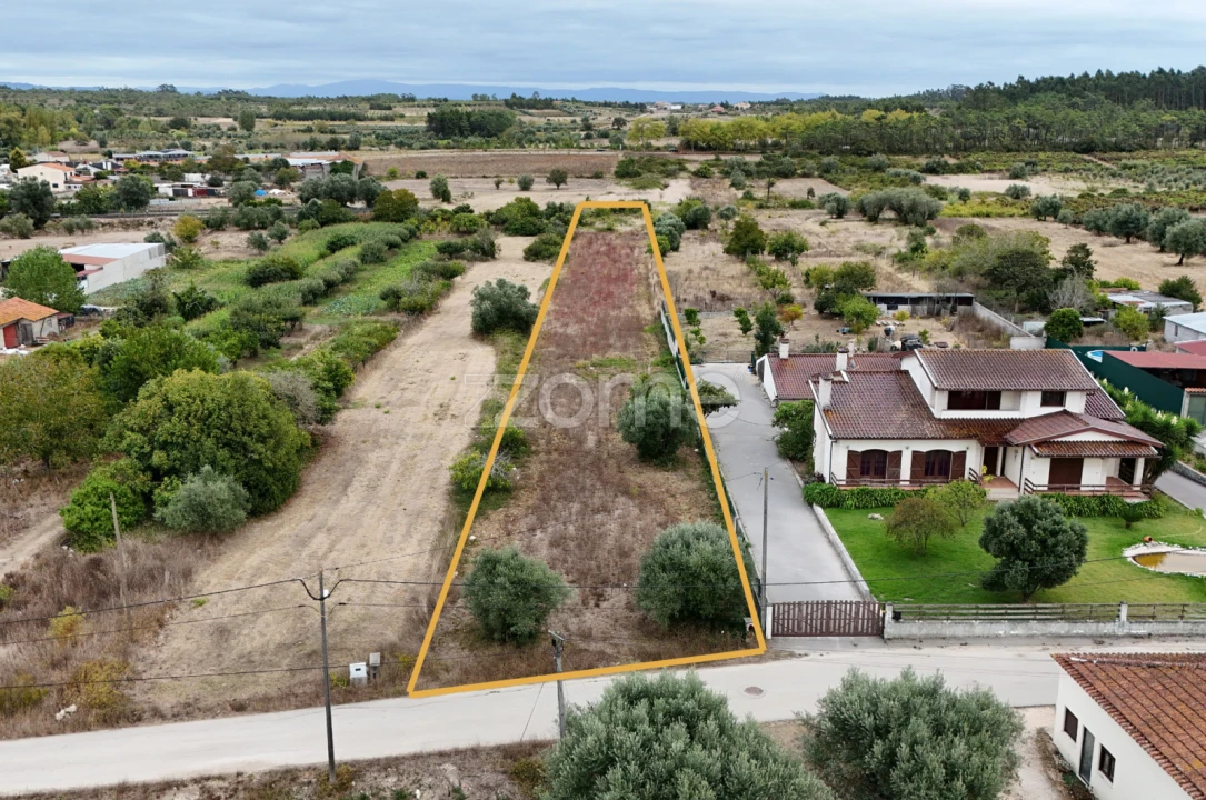 Terreno para Venda em Cadima Foto 2