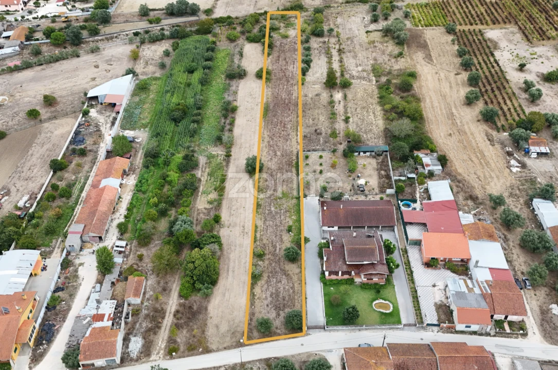 Terreno para Venda em Cadima Foto 1