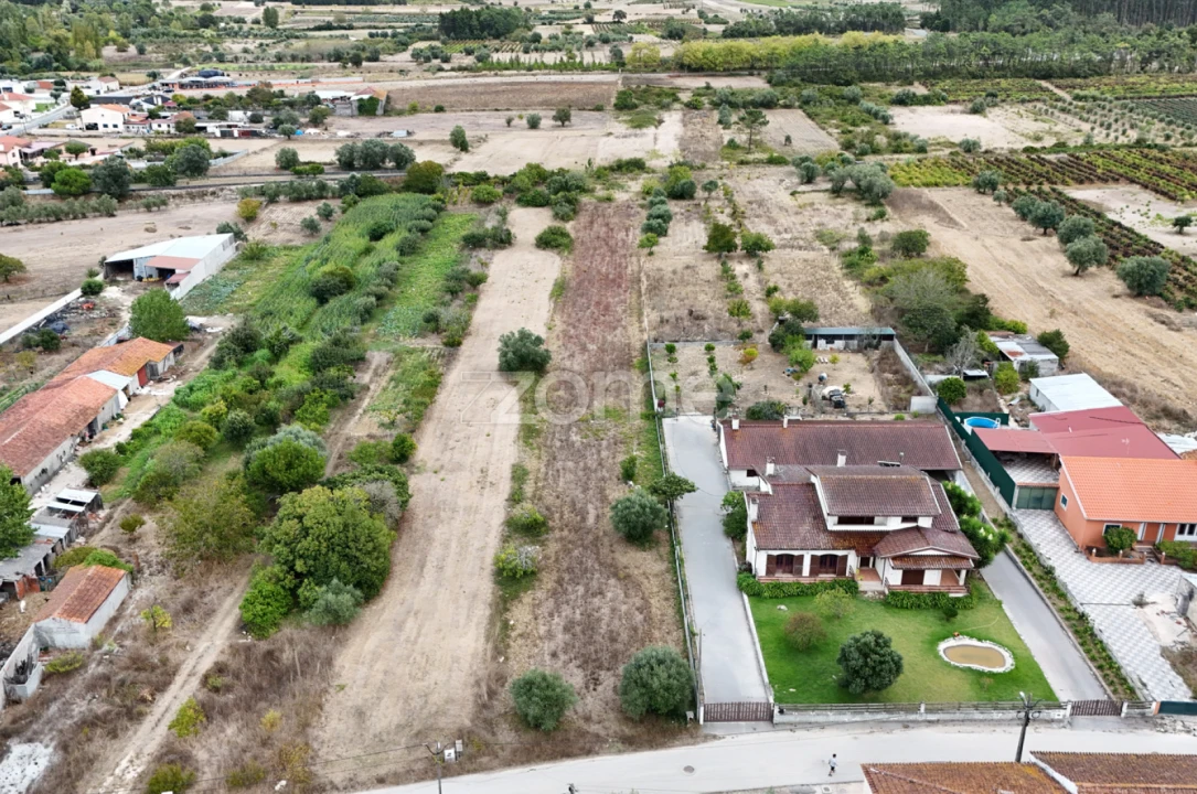 Terreno para Venda em Cadima Foto 6