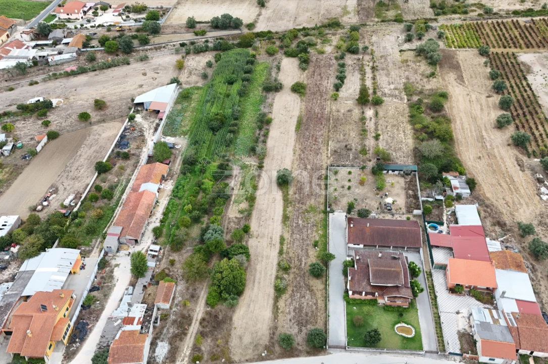 Terreno para Venda em Cadima Foto 7