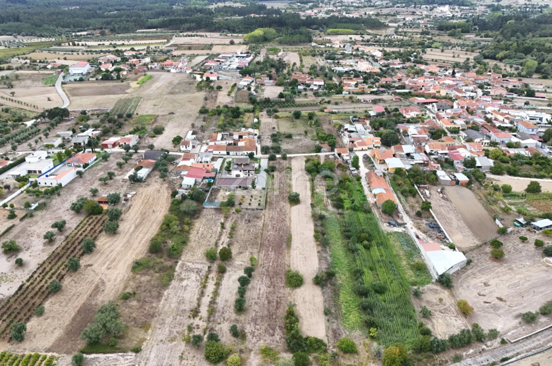 Terreno para Venda em Cadima Foto 10