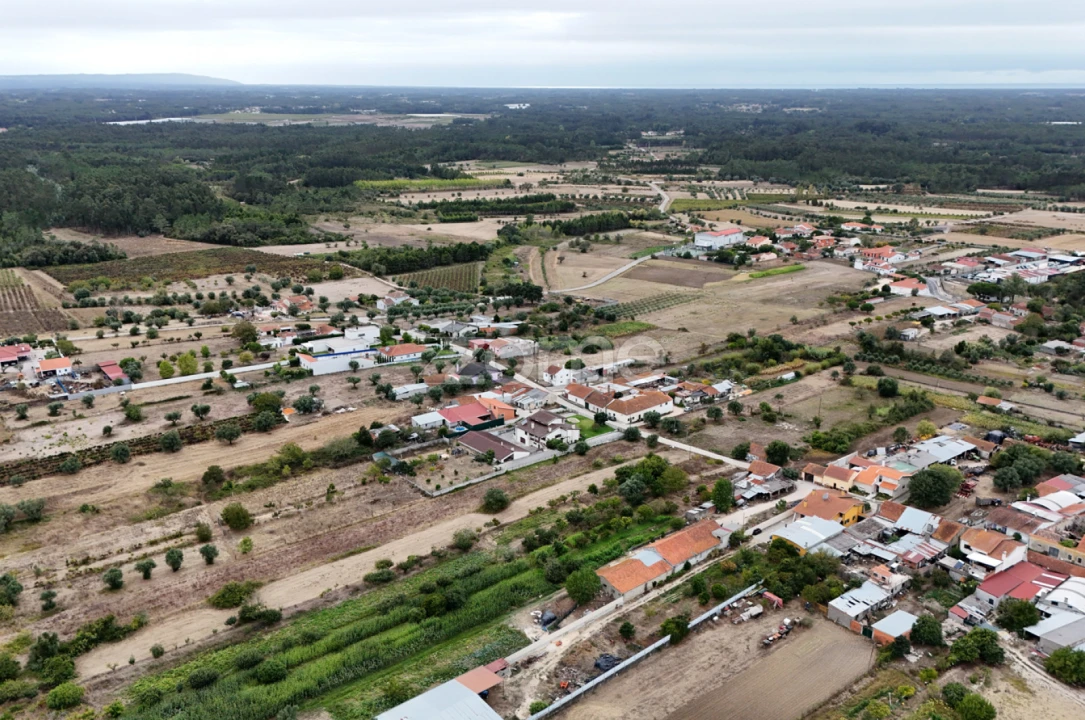 Terreno para Venda em Cadima Foto 14