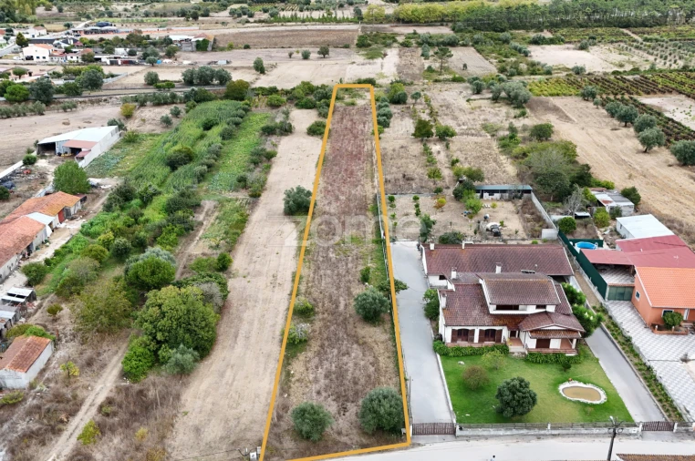 Terreno para Venda em Cadima Foto 4