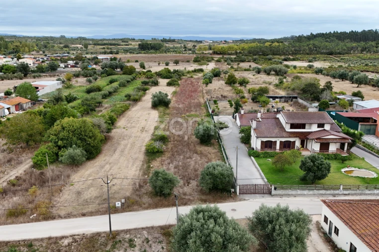Terreno para Venda em Cadima Foto 13