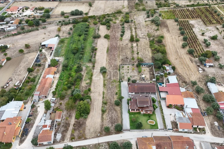 Terreno para Venda em Cadima Foto 8