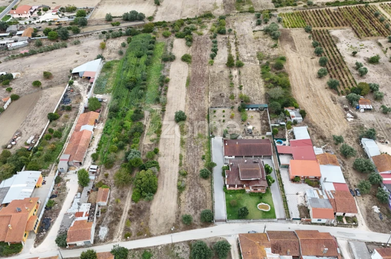 Terreno para Venda em Cadima Foto 9