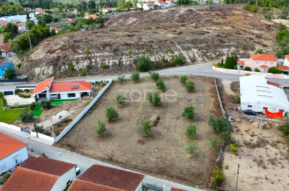 Terreno para Venda em Cernache