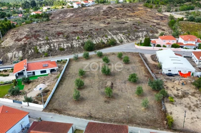 Terreno para Venda em Cernache